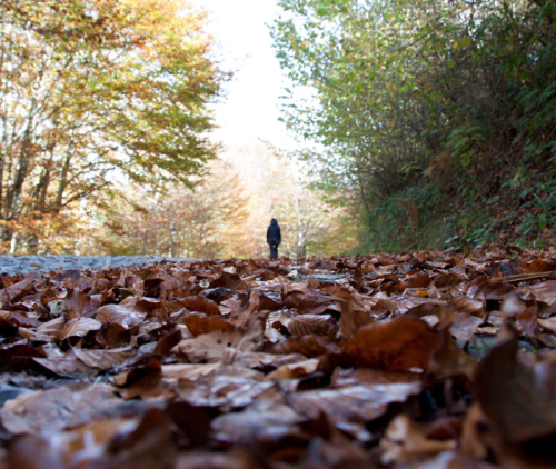 Le corps de la pensée