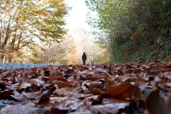 Le corps de la pensée